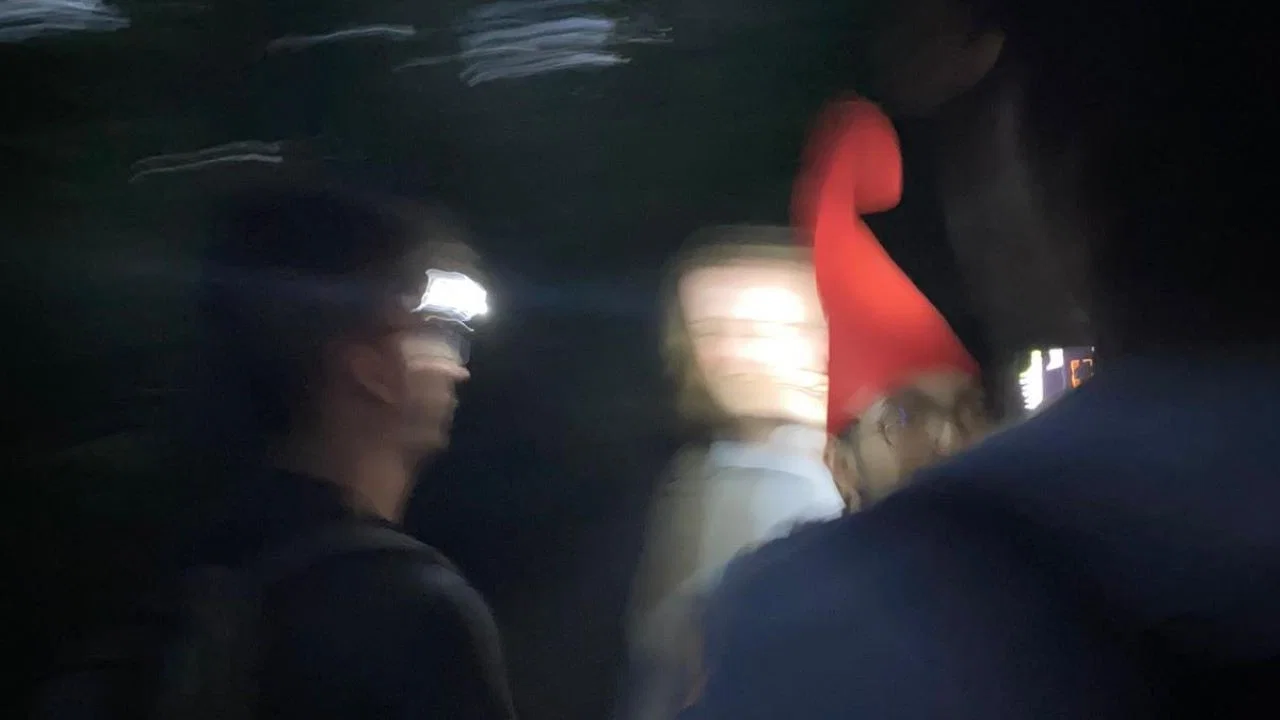Gnome Hunting Found Footage - 剧照