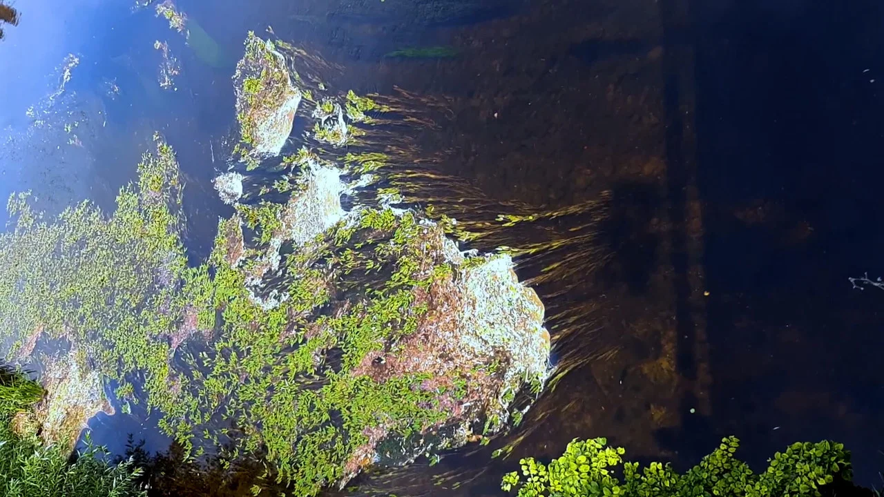 Medzi doľinami, medzi vŕ&scaron;ki. Po stop&aacute;ch bud&uacute;ceho zvuku Slovenska. - 剧照