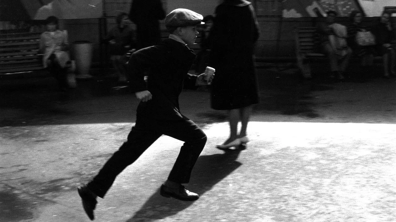 Robert Doisneau, le r&eacute;volt&eacute; du merveilleux - 剧照