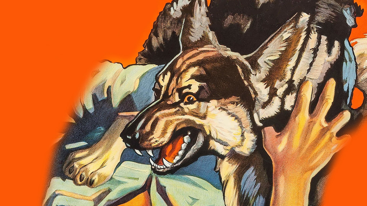 Ferocious Pal - 剧照
