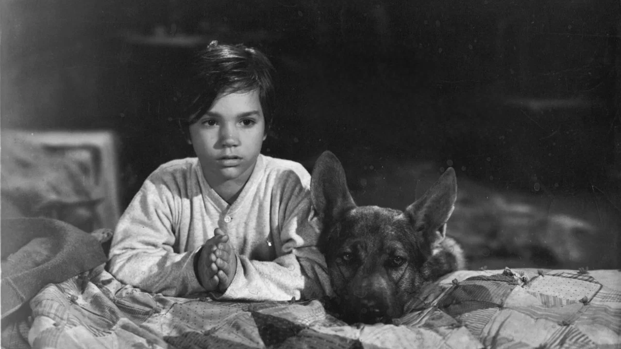 Sign of the Wolf - 剧照
