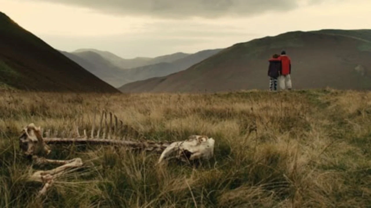 观光客 - 剧照