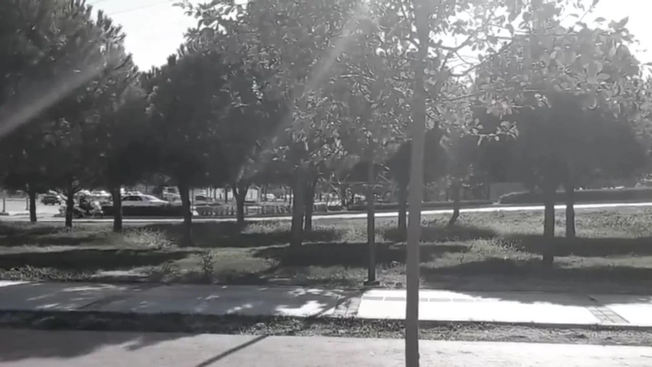 Mercan: Skate King - 剧照