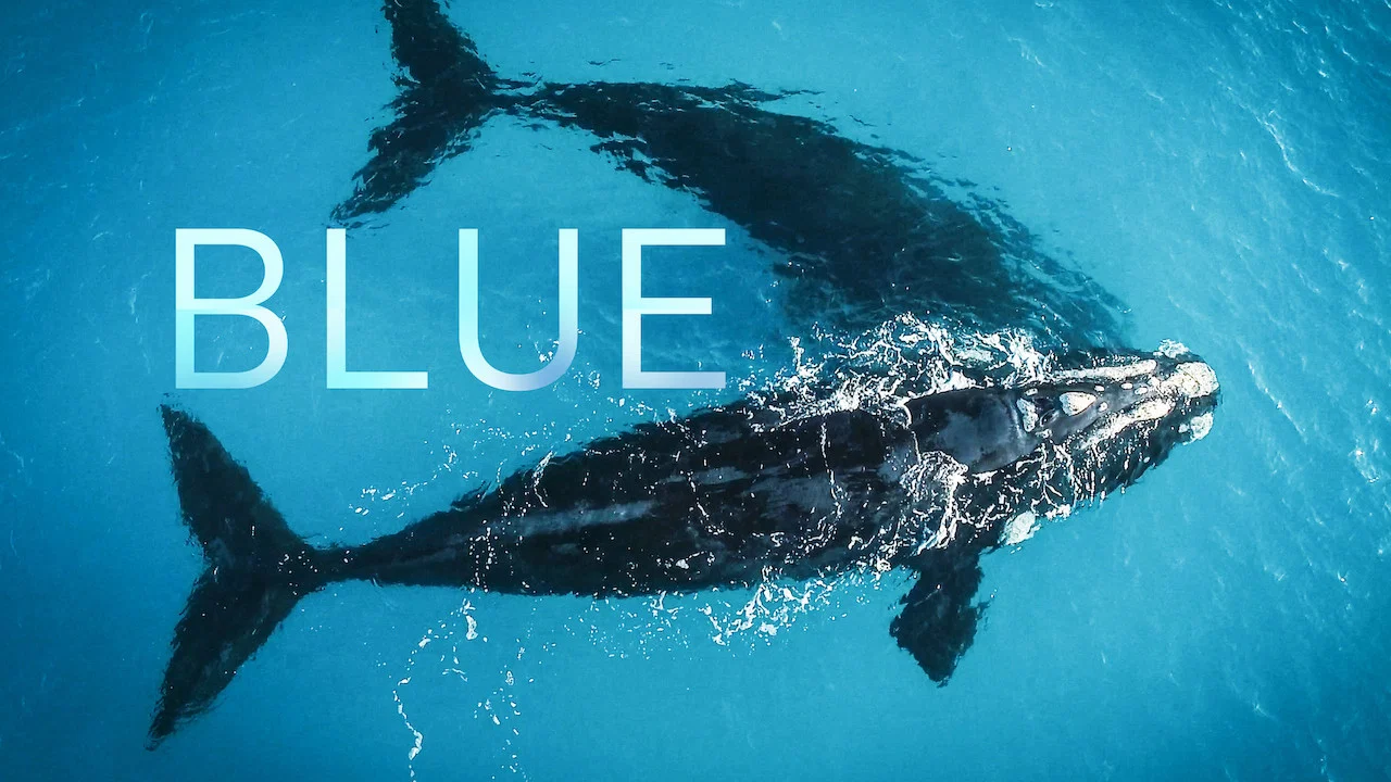 Blue - 剧照