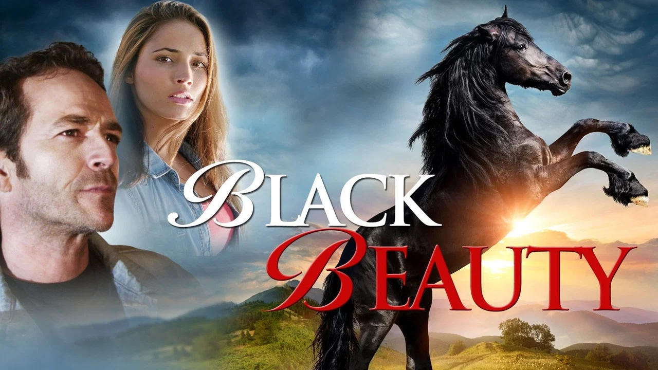 Black Beauty - 剧照