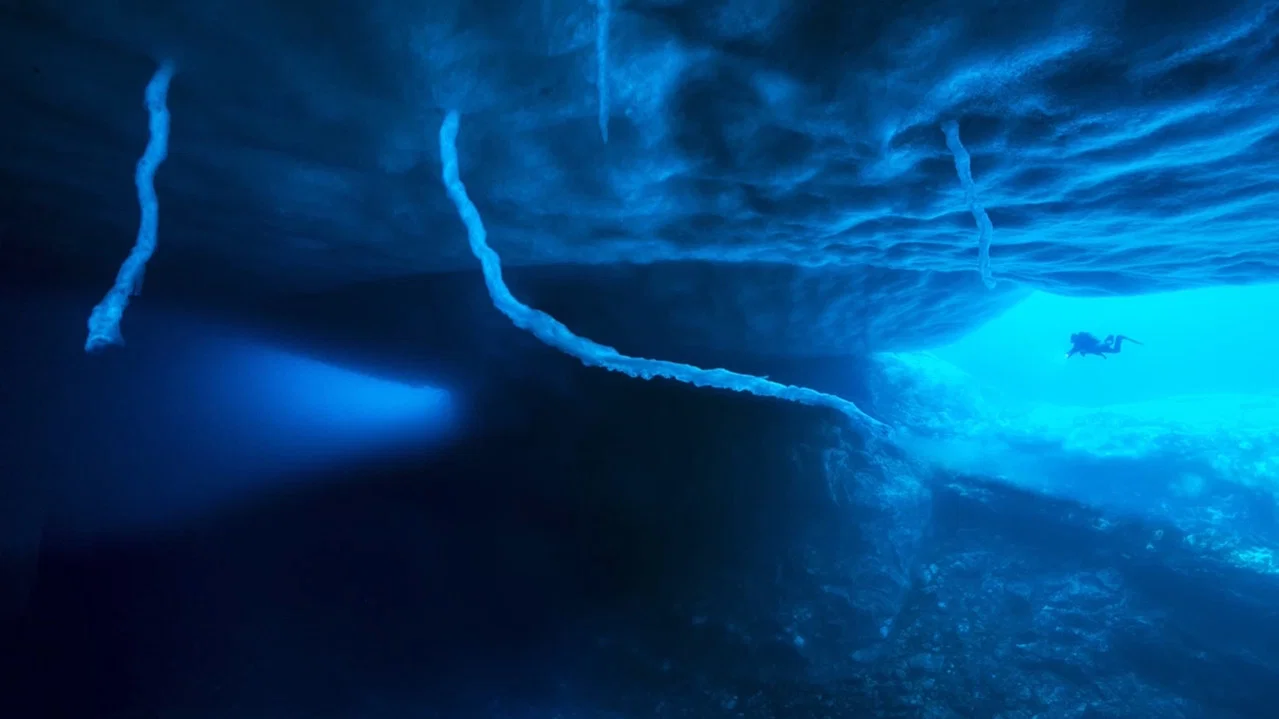 Antarctica, sur les traces de l'empereur - 剧照