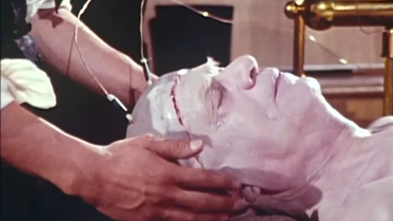 Frankenstein : Une histoire d'amour - 剧照