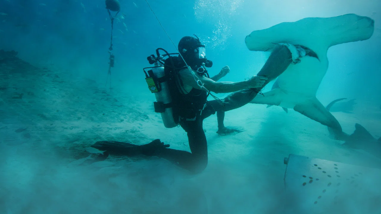 Man vs. Shark - 剧照
