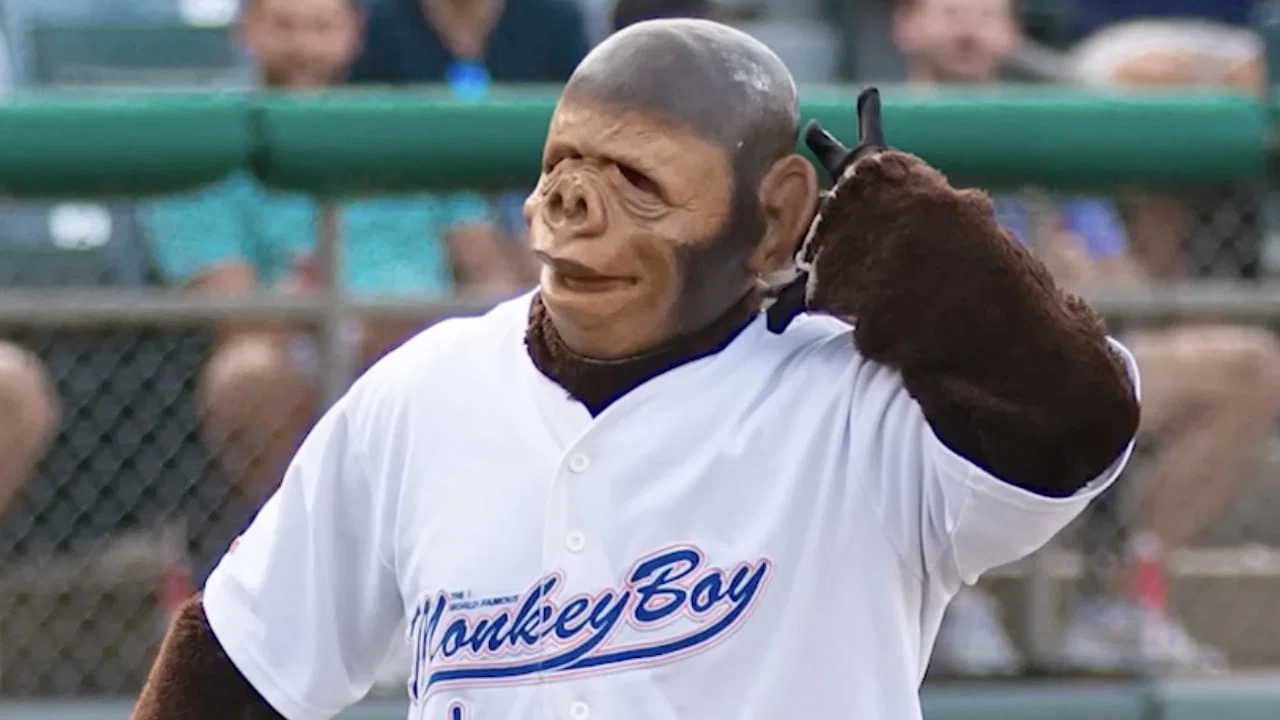Come Home Monkey Boy - 剧照