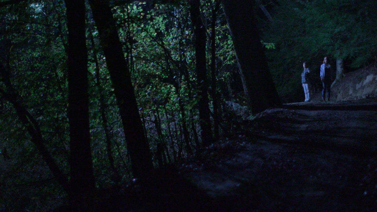 Below the Trees - 剧照
