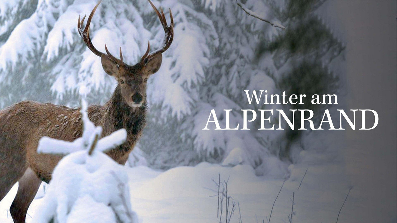 Winter am Alpenrand - 剧照