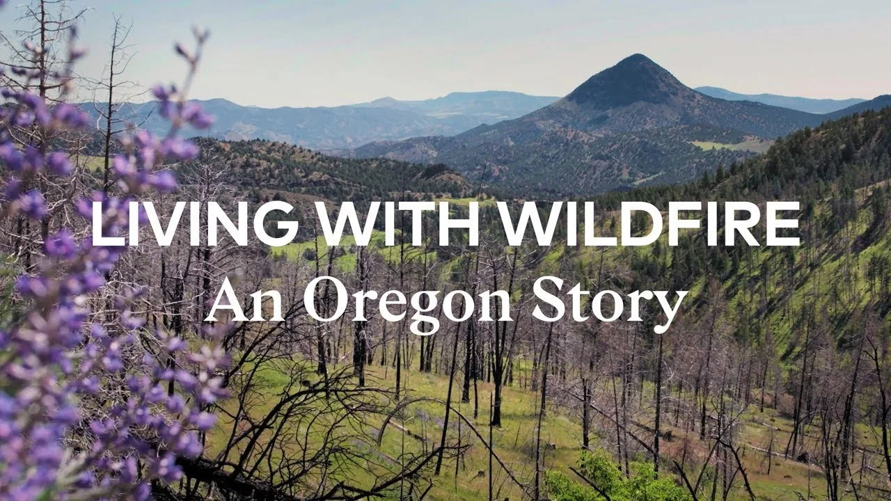 Living with Wildfire - 剧照