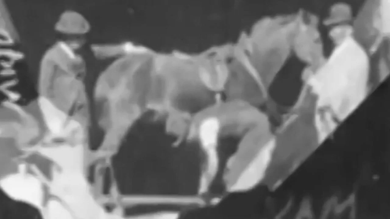 Horse Shoeing - 剧照
