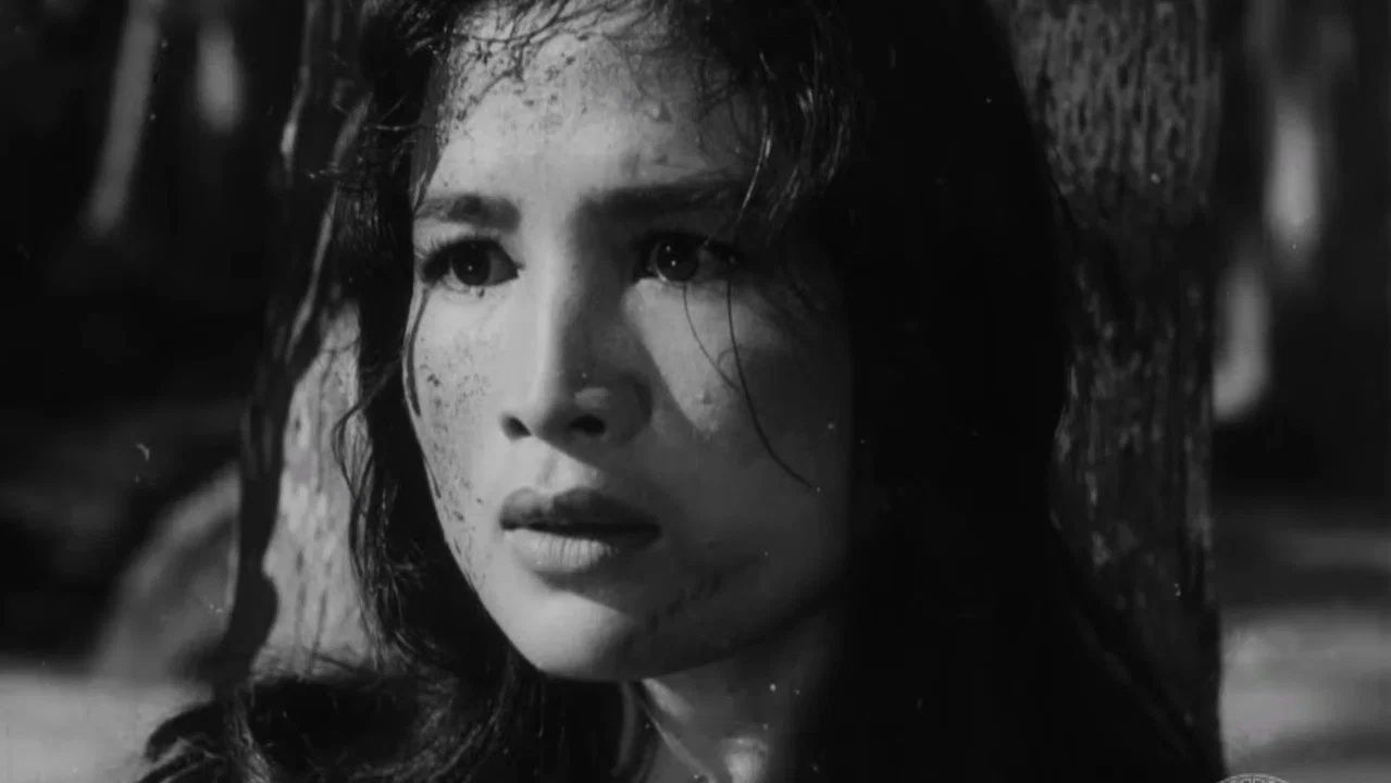 Vĩ tuyến 17 ng&agrave;y v&agrave; đ&ecirc;m - 剧照