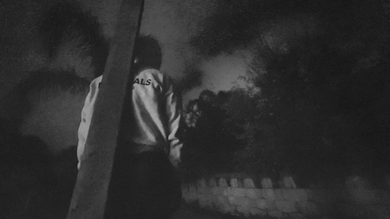 To See In The Dark - 剧照