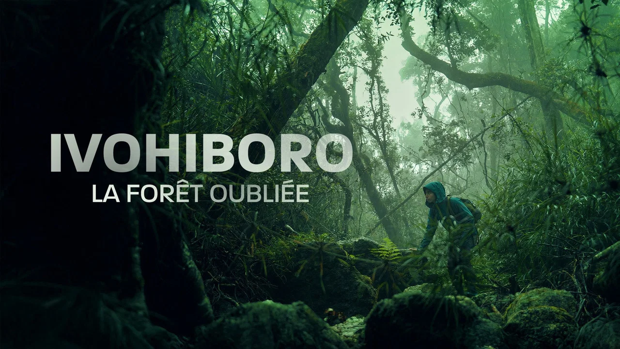 Ivohiboro: La For&ecirc;t Oubli&eacute;e - 剧照