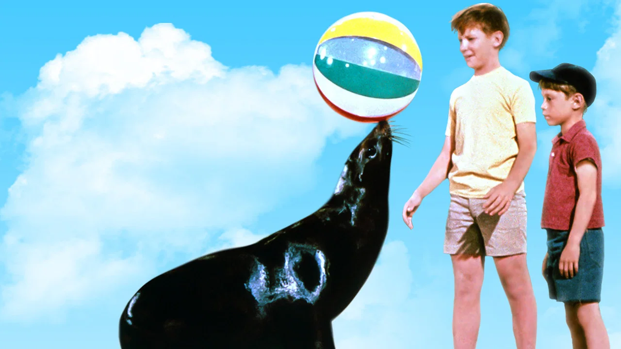 Sammy, the Way-Out Seal - 剧照