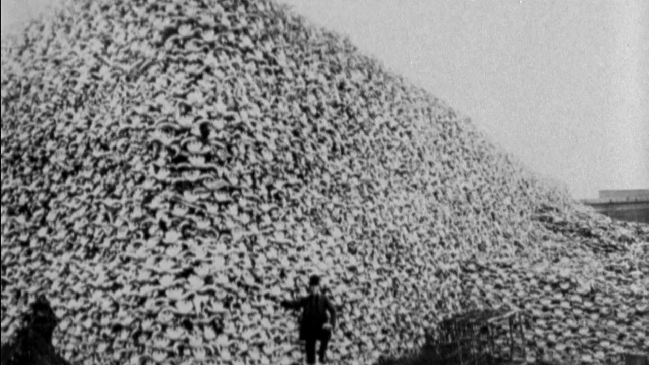The Great Buffalo Saga - 剧照