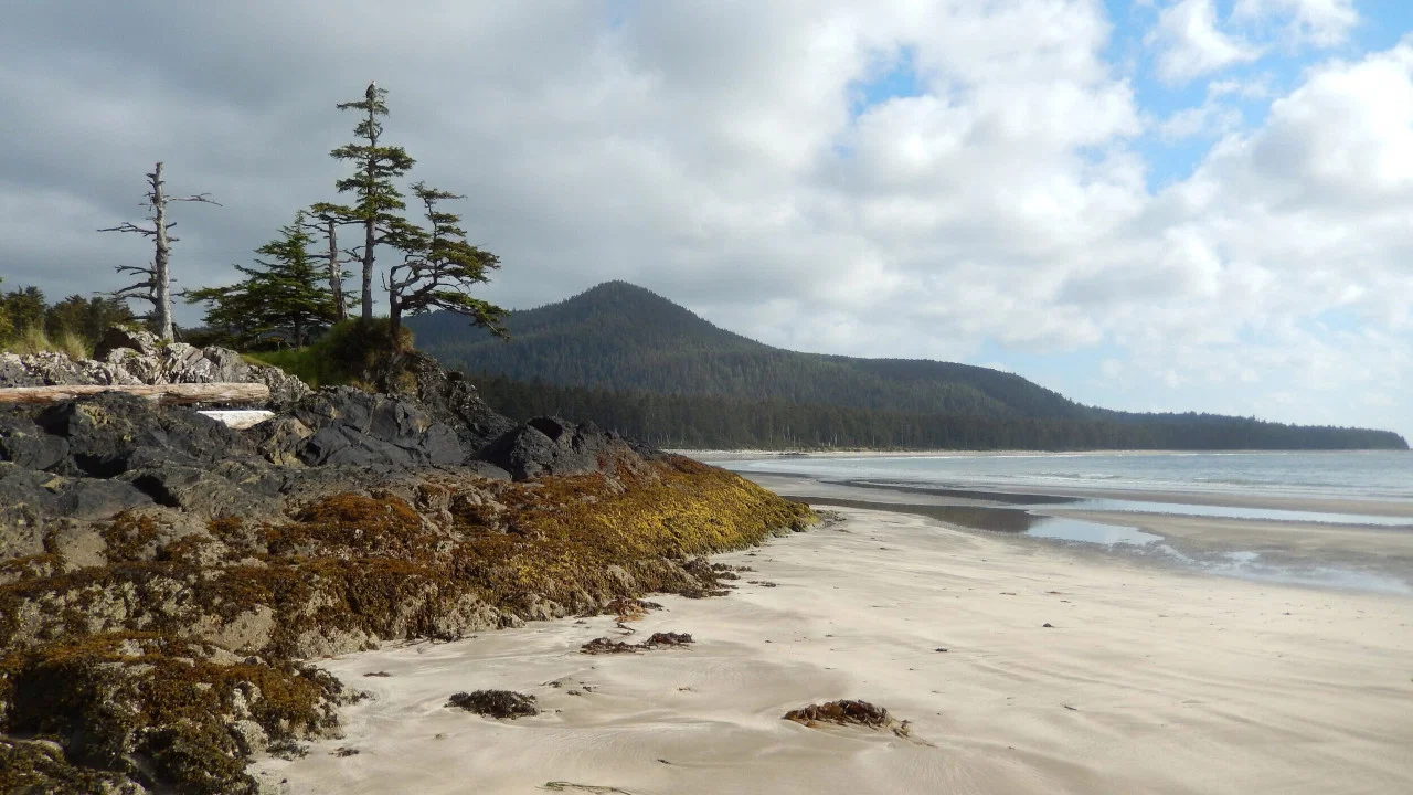 Haida Gwaii: On the Edge of the World - 剧照