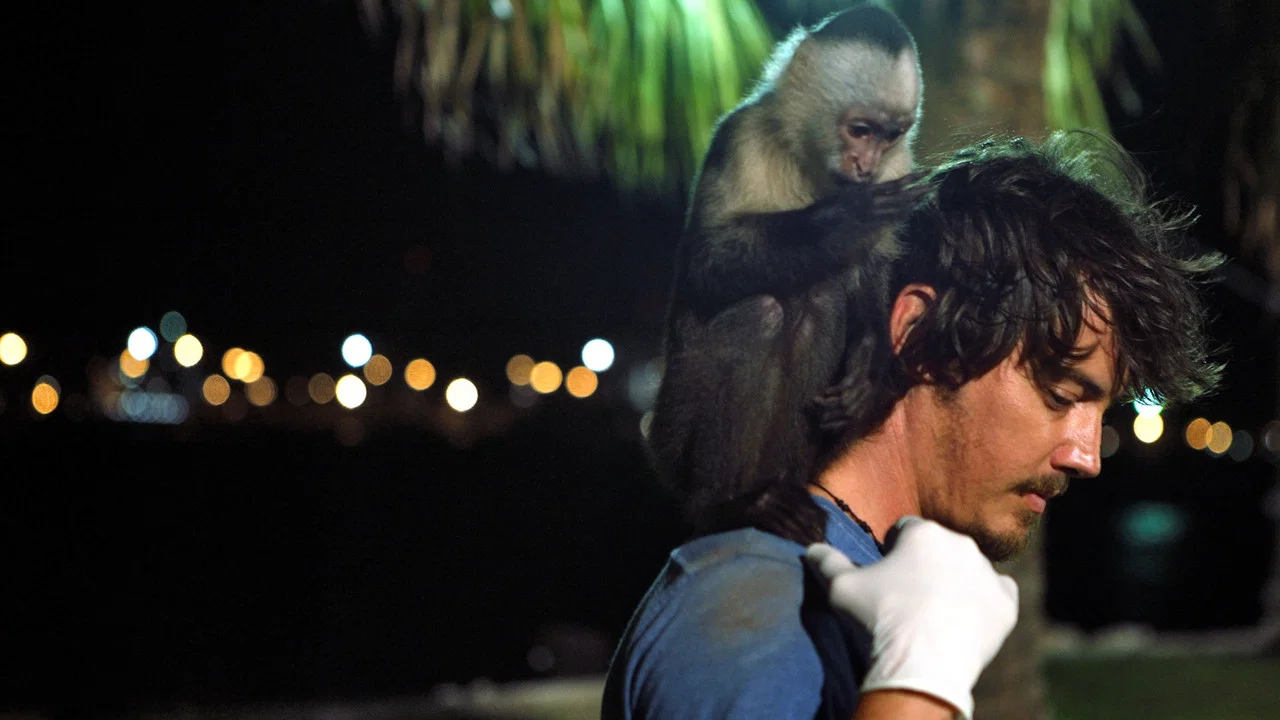 Who's Your Monkey? - 剧照