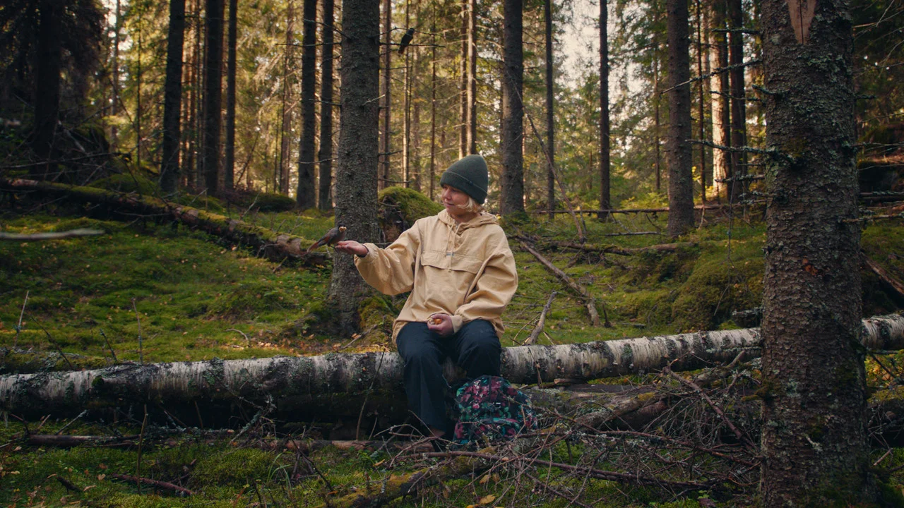 Havumets&auml;n lapset - 剧照