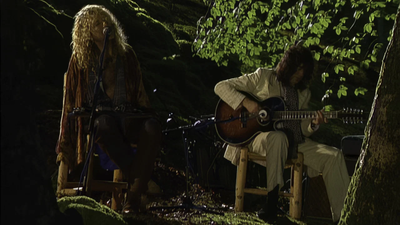 Jimmy Page & Robert Plant: No Quarter - Unledded - 剧照