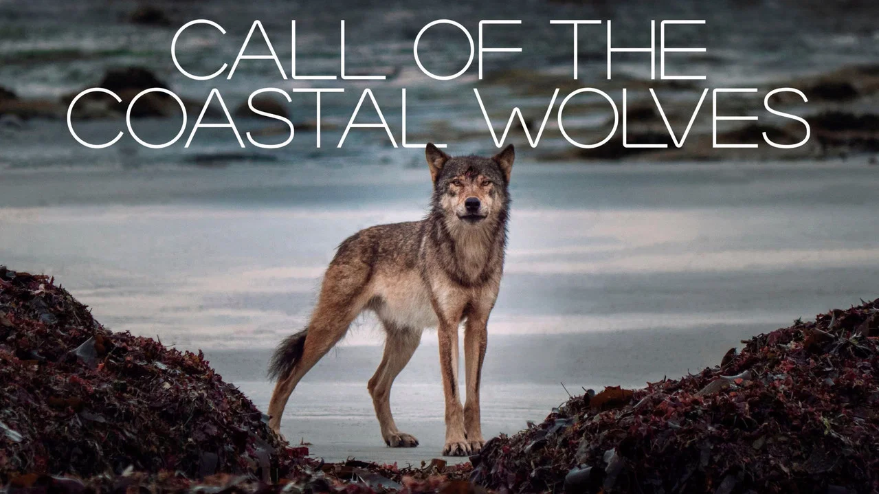 Call Of The Coastal Wolves - 剧照