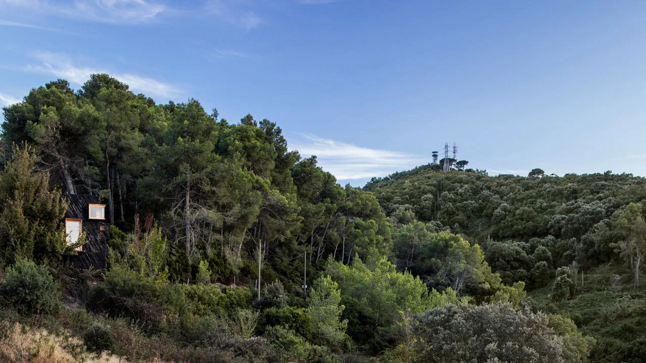 Valldaura: A Quarantine Cabin - 剧照