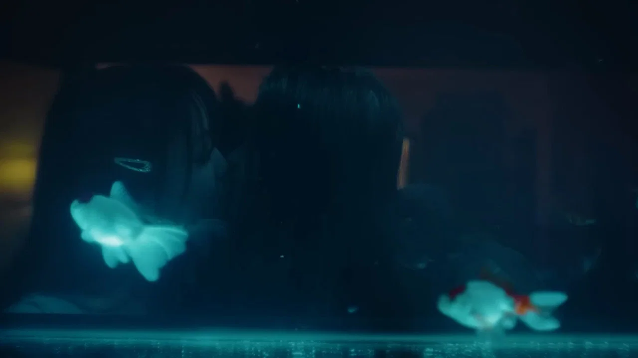 幸运鱼 - 剧照
