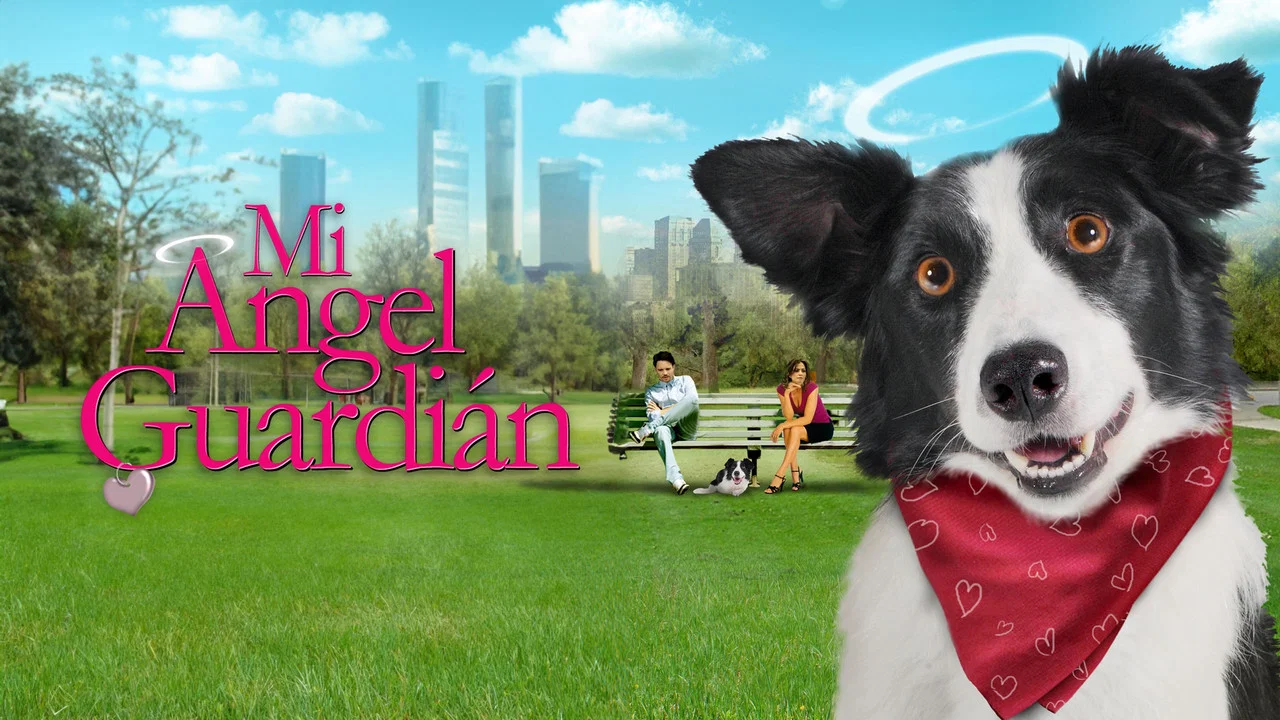 Angel Dog - 剧照