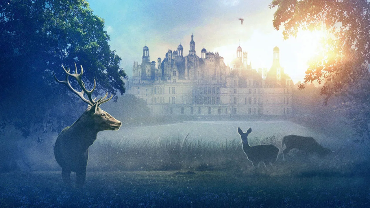 Chambord - 剧照