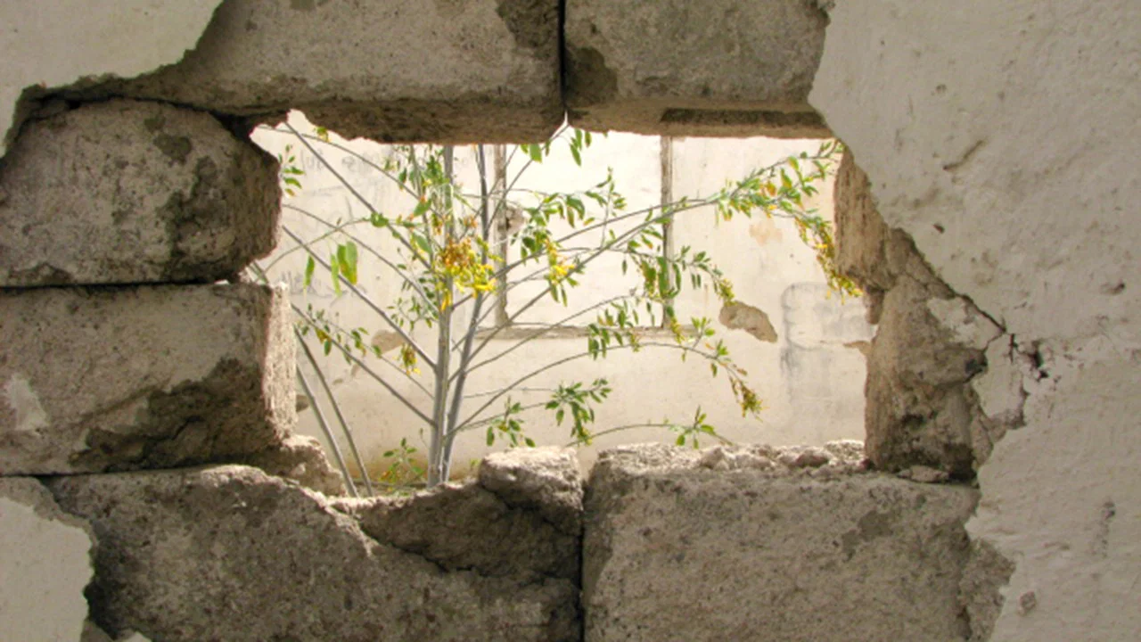 Aranzaz&uacute;, un recuerdo de ruinas - 剧照
