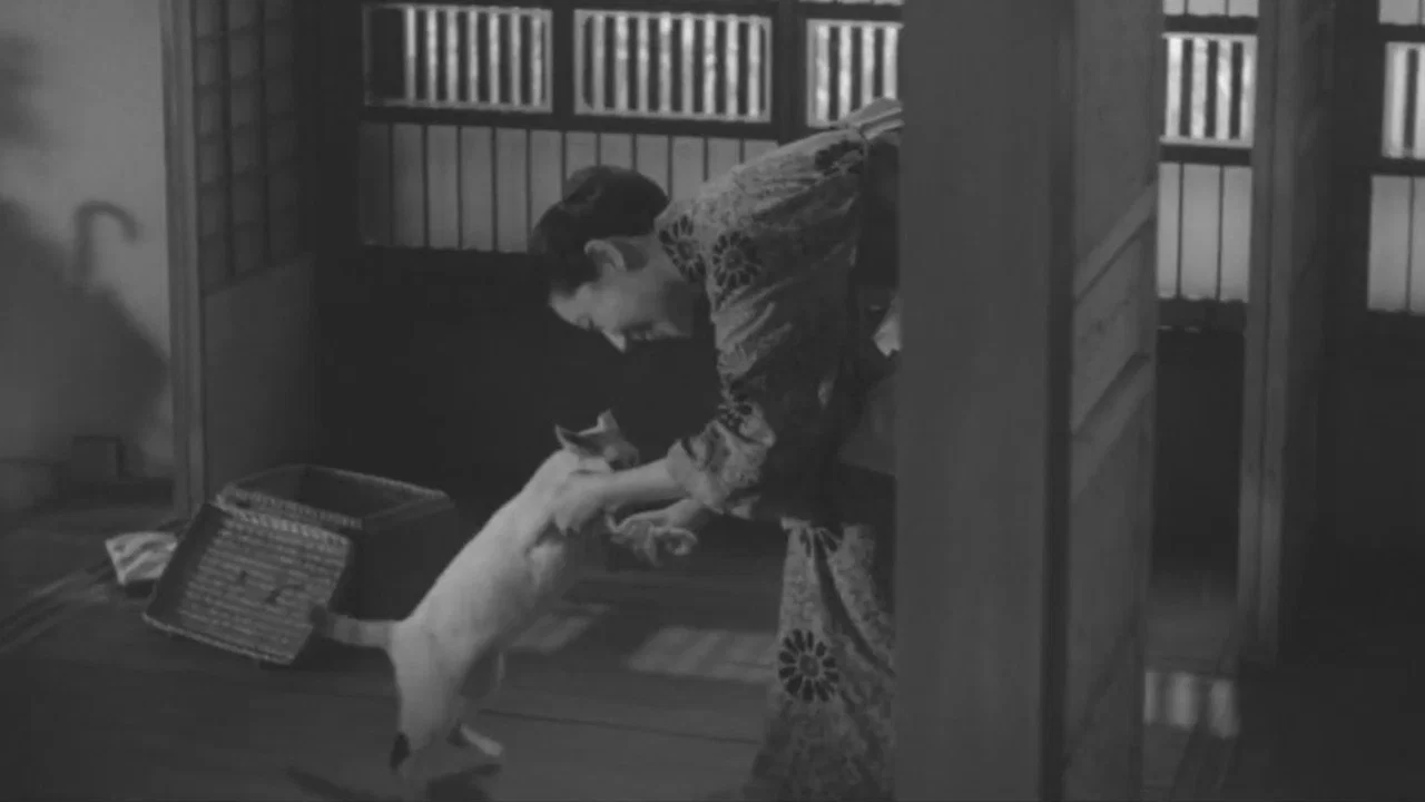 猫と庄造と二人のをんな - 剧照
