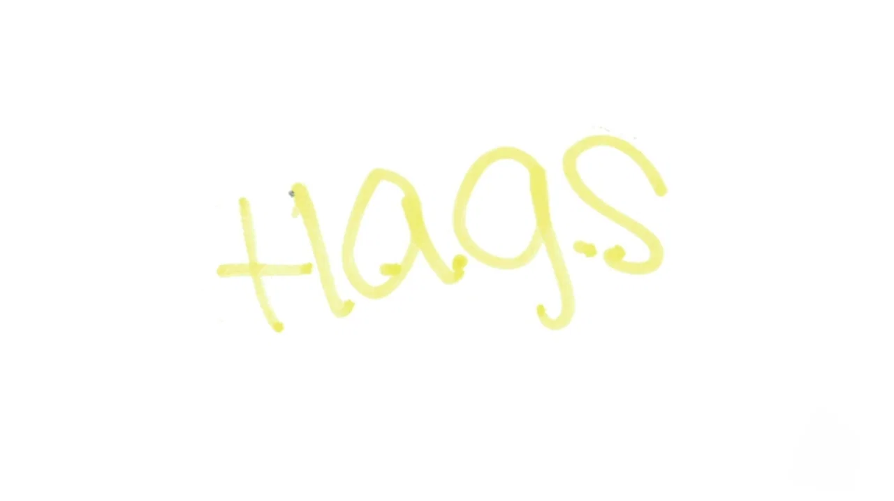 H.A.G.S. (Have a Good Summer) - 剧照