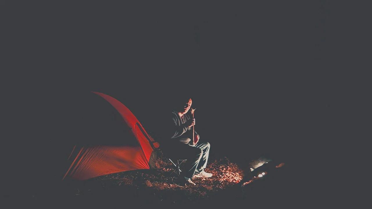 Something Walks in the Woods - 剧照