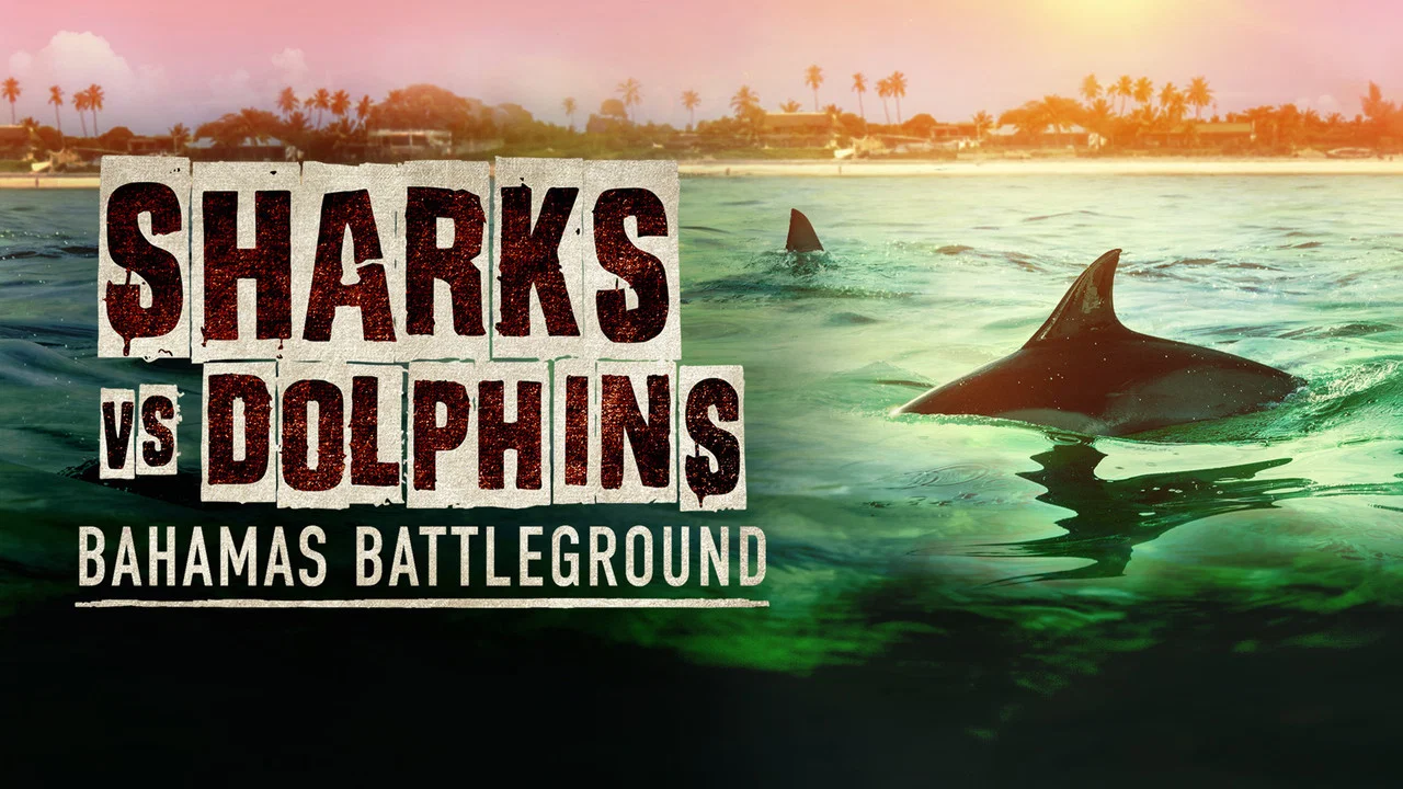 Sharks vs. Dolphins: Bahamas Battleground - 剧照