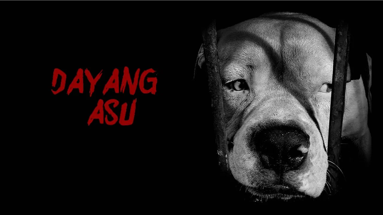 Dayang Asu - 剧照