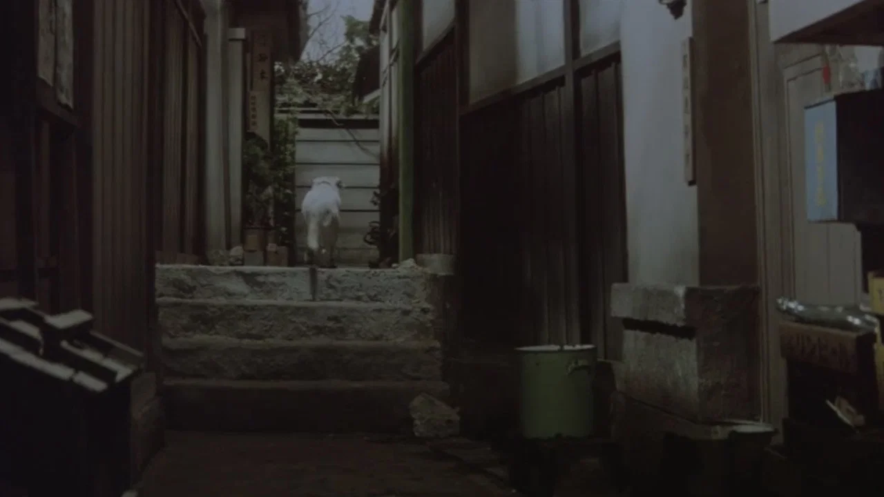 女人二度出生 - 剧照
