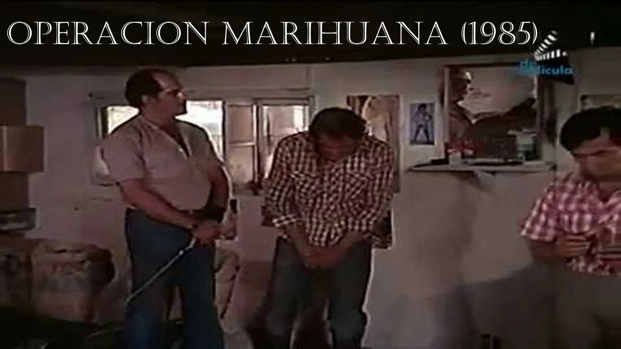 Operacion Marihuana - 剧照