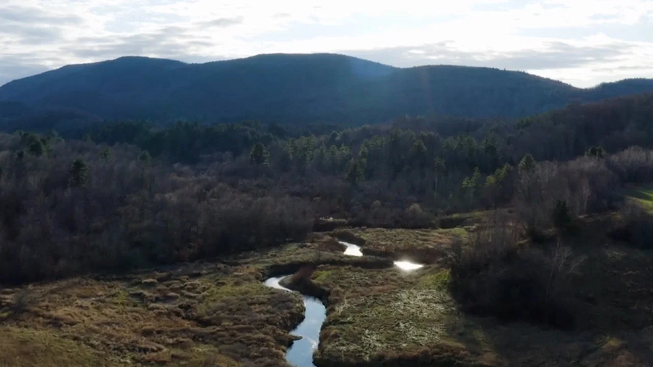The King and Beers - A Gravel Epic in Vermont - 剧照