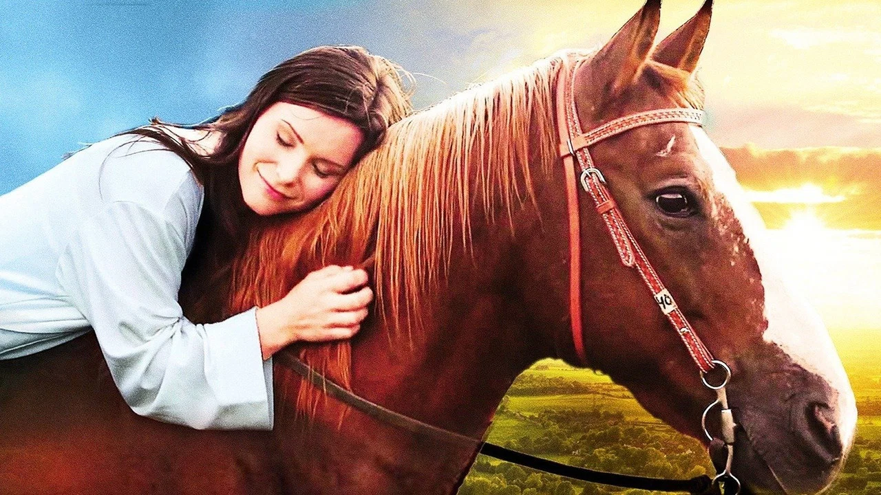 Horse Camp - 剧照