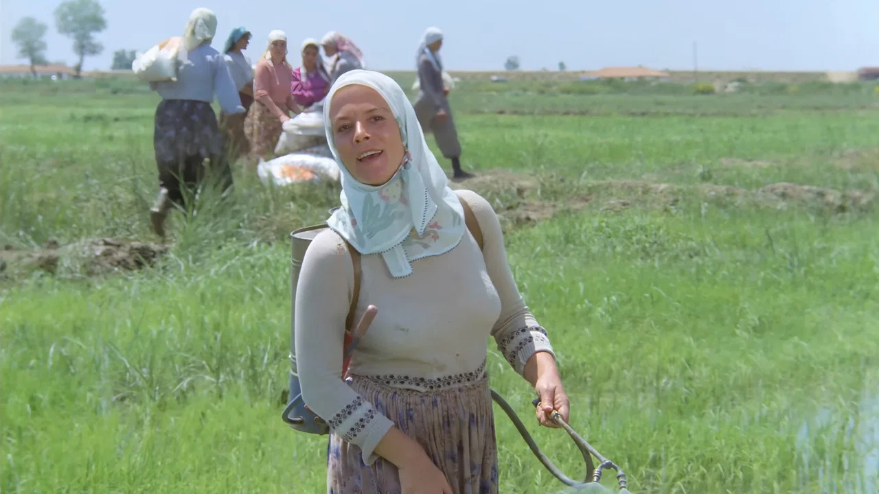 Kurbağalar - 剧照