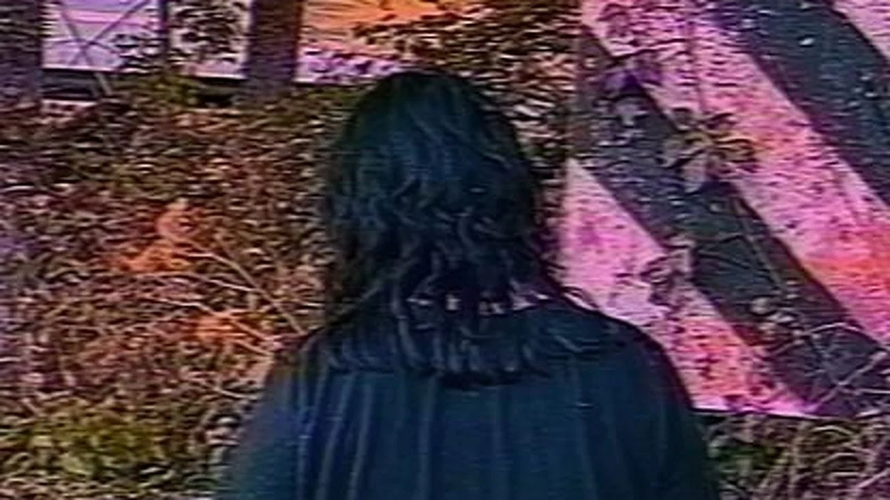 The McKinney Family Home Videos - 剧照