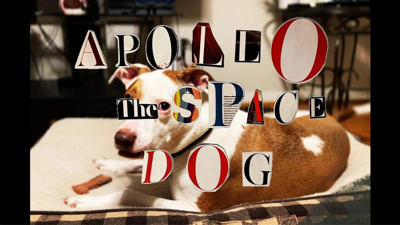 Apollo: The Space Dog - 剧照