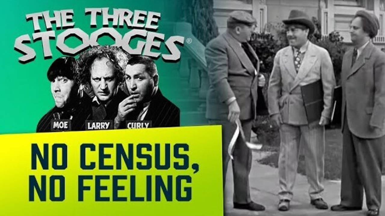 No Census, No Feeling - 剧照