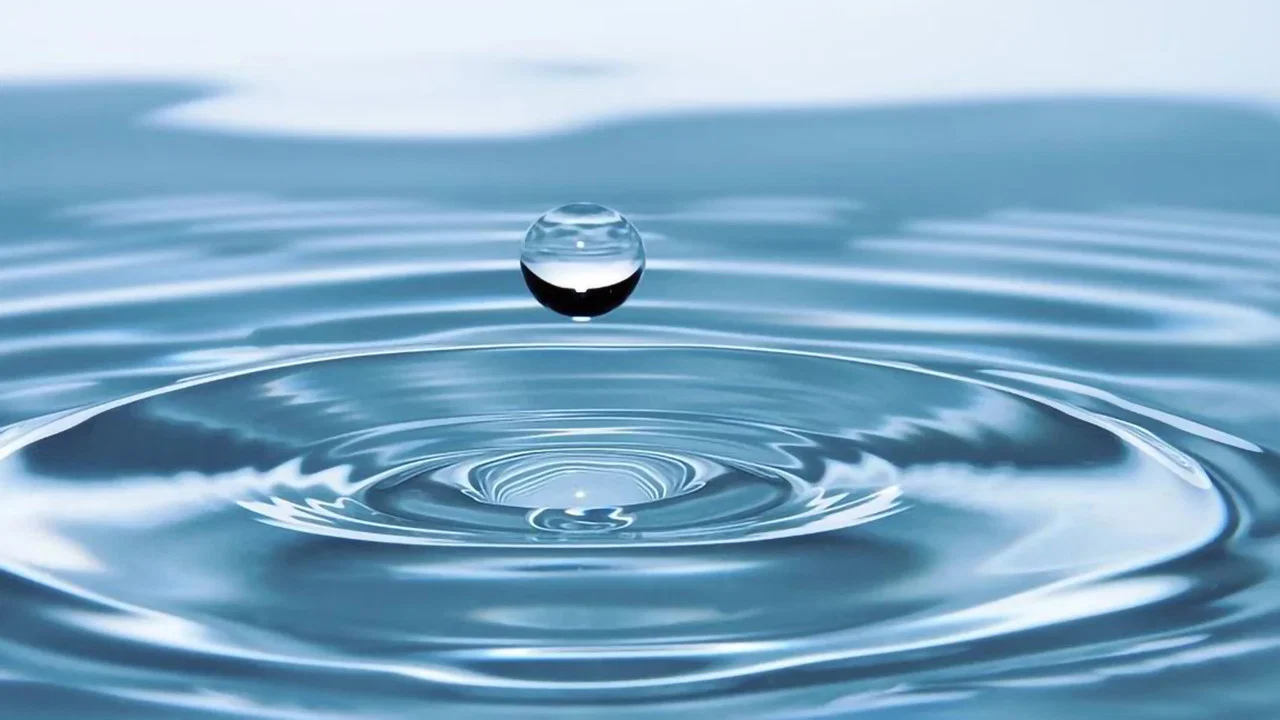 Main basse sur l'eau - 剧照