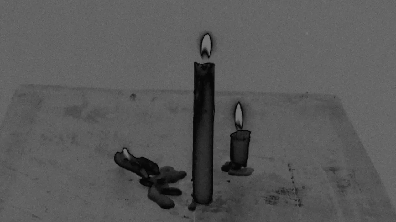 Memoria - 剧照