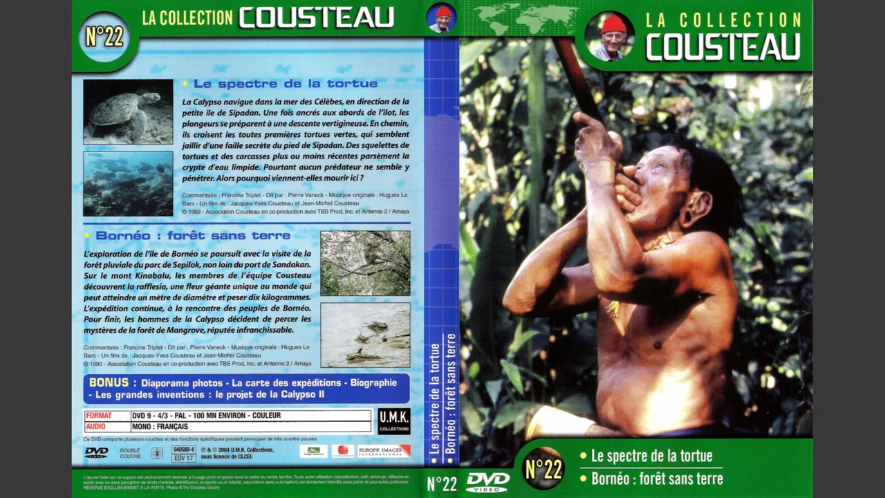 La collection Cousteau N&deg;22 | Le spectre de la tortue | Born&eacute;o : for&ecirc;t sans terre - 剧照