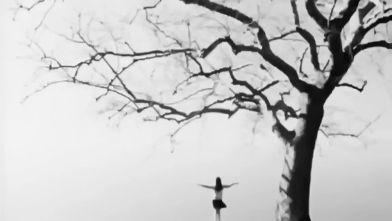 哦，月亮 - 剧照