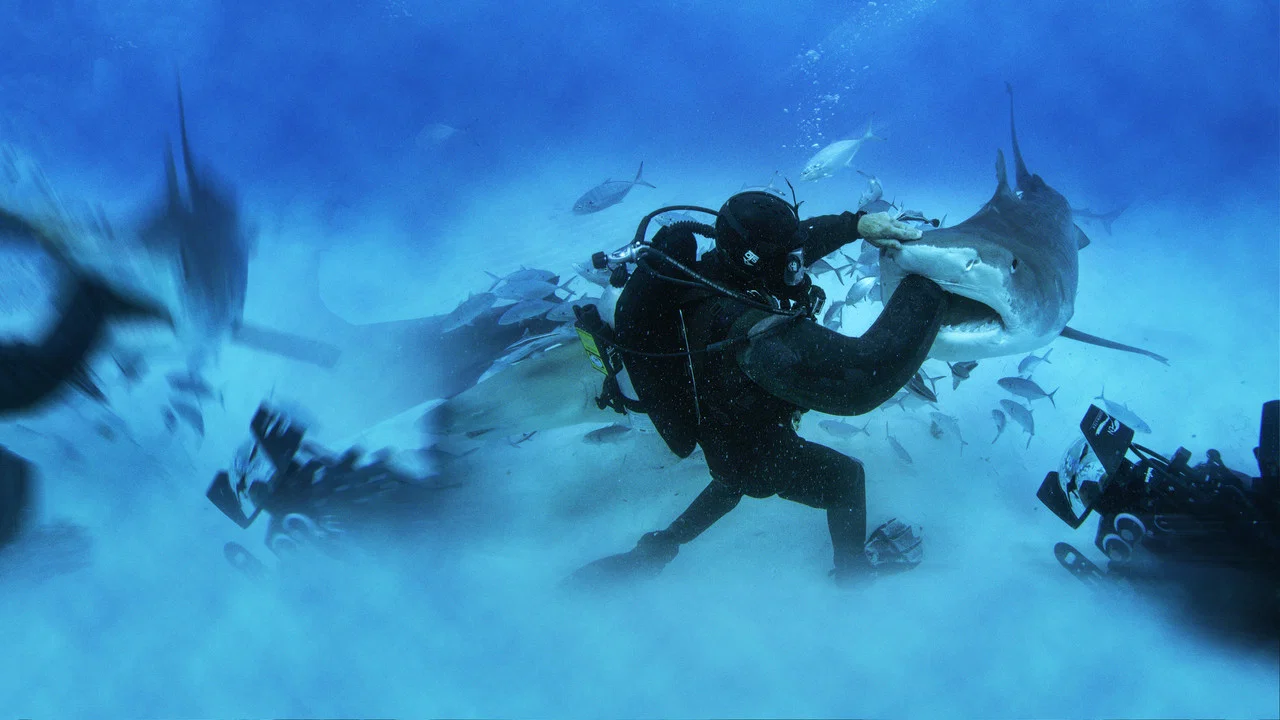 Man vs. Shark - 剧照